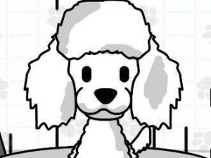 Pampered Paws Grooming Studio