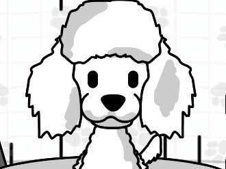 Pampered Paws Grooming Studio