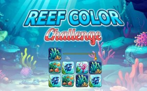 Reef Color Challenge: Block Match Puzzle Online Game