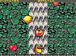 Gaga Fruit Collection Game