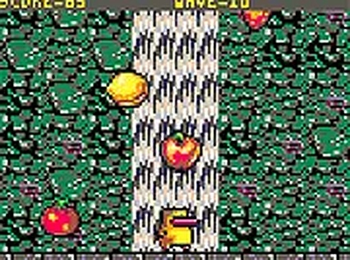 Gaga Fruit Collection Online Arcade Game