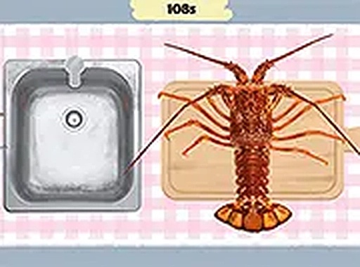 Sorting Chef: Kitchen Tidy Puzzles