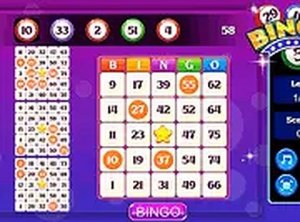 Bingo Online Game