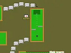 Precision Putting Puzzle