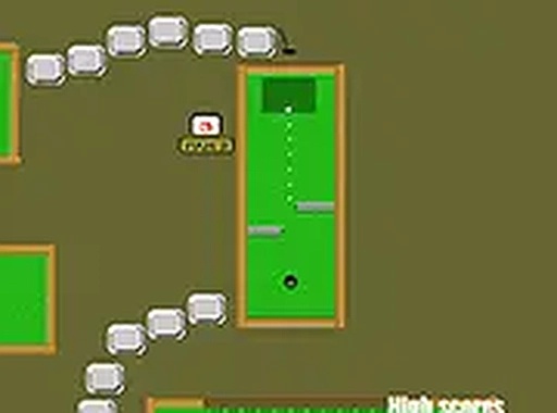 Precision Putting Puzzle