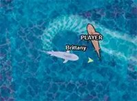 Shark Dominance io Arcade Game