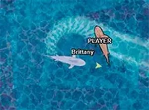 Shark Dominance io Online Game
