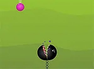 Crashy Cat Online Game