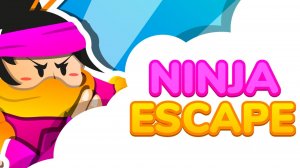 Ninja Escape Action Game