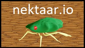 Nektaar.io Arena Navigation Challenge